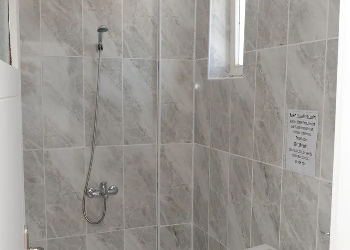 Ayisigi * グムベット