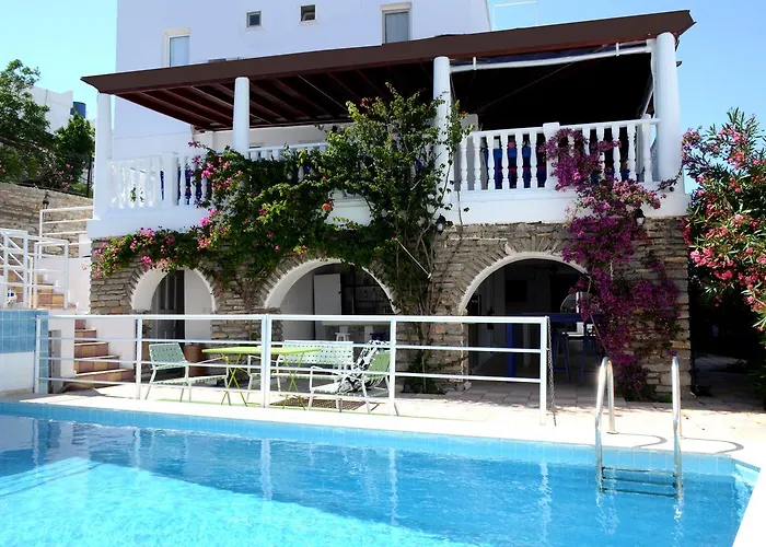 Ayisigi * グムベット